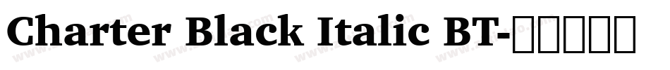 Charter Black Italic BT字体转换